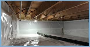 Crawl Space Inspection in Hampton Roads: Humidity, Moisture, and Pests